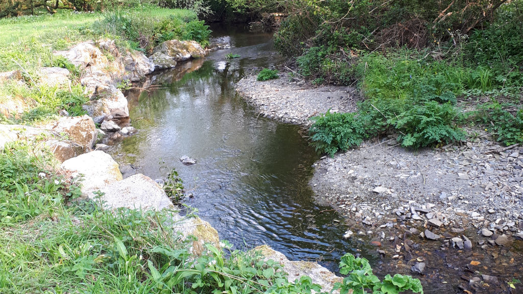 fish for trout in the river