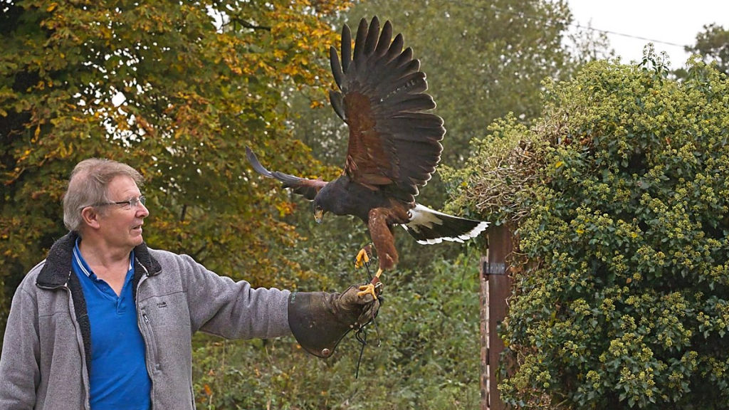 visitors enjoy meeting the birds