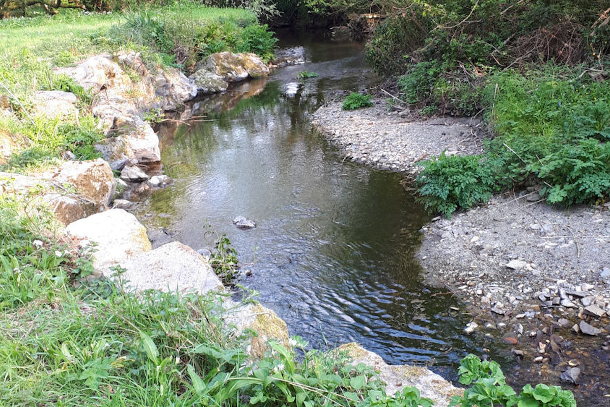 stream at The Barn