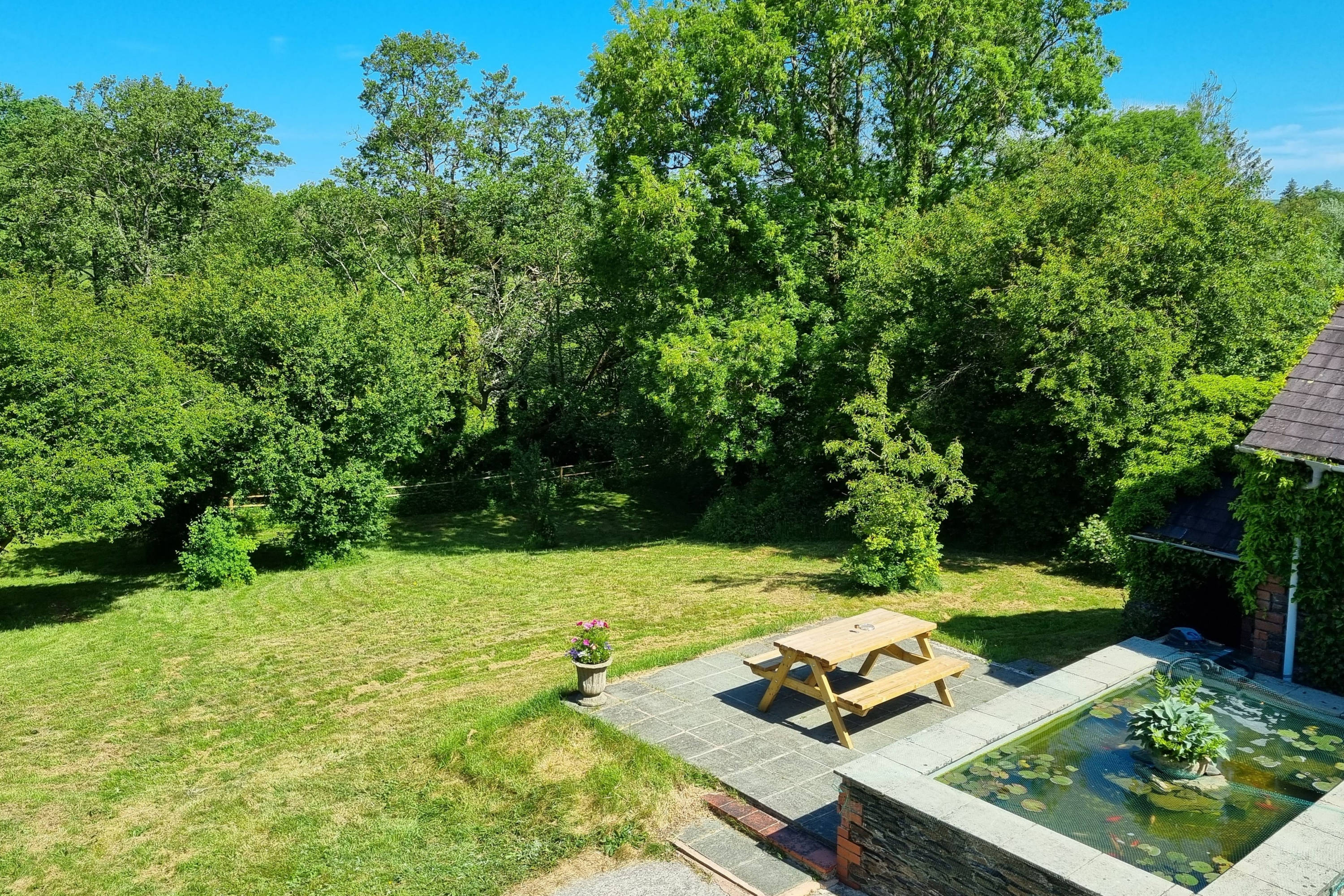 the patio and fishpond