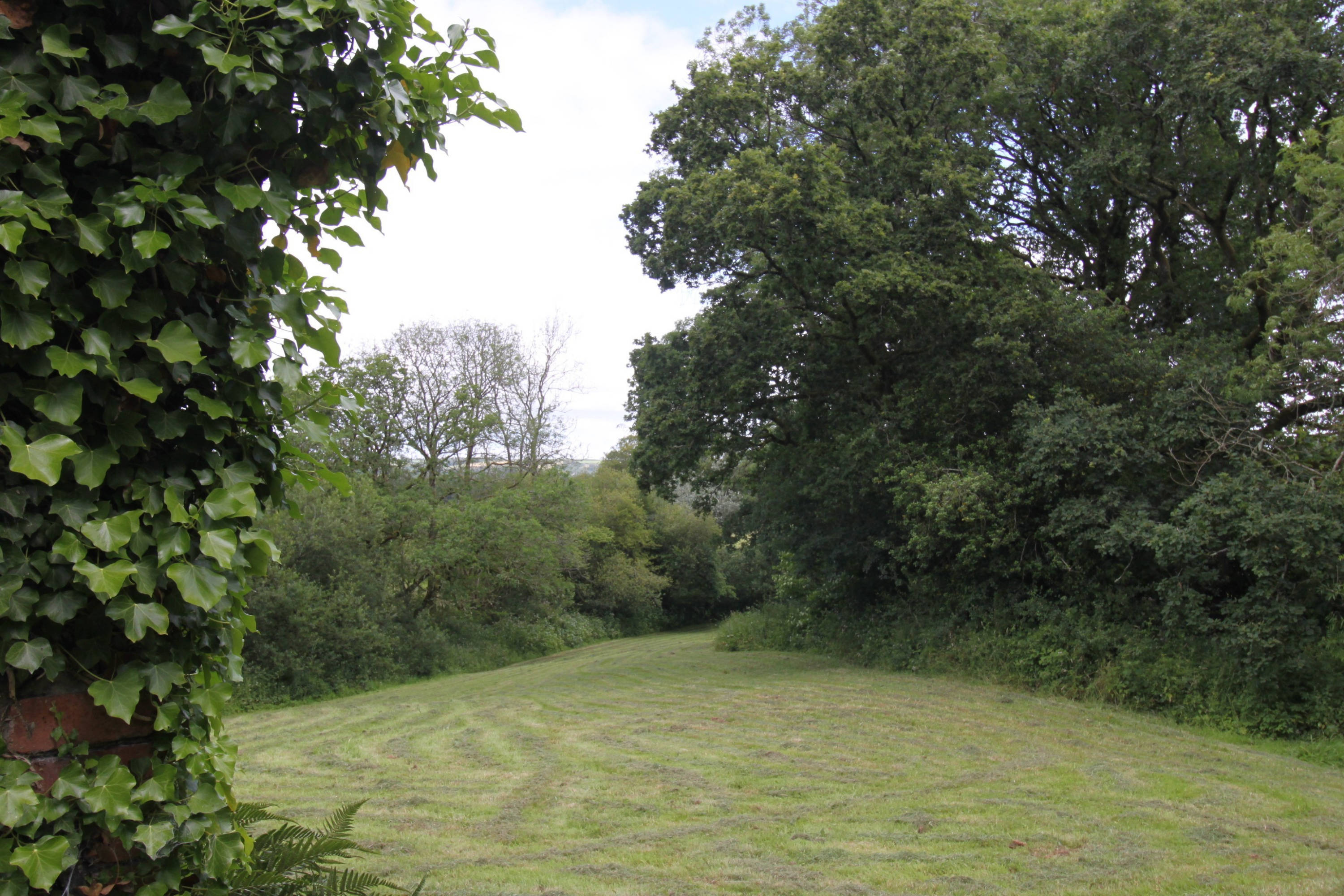 the back field where the hawks are trained