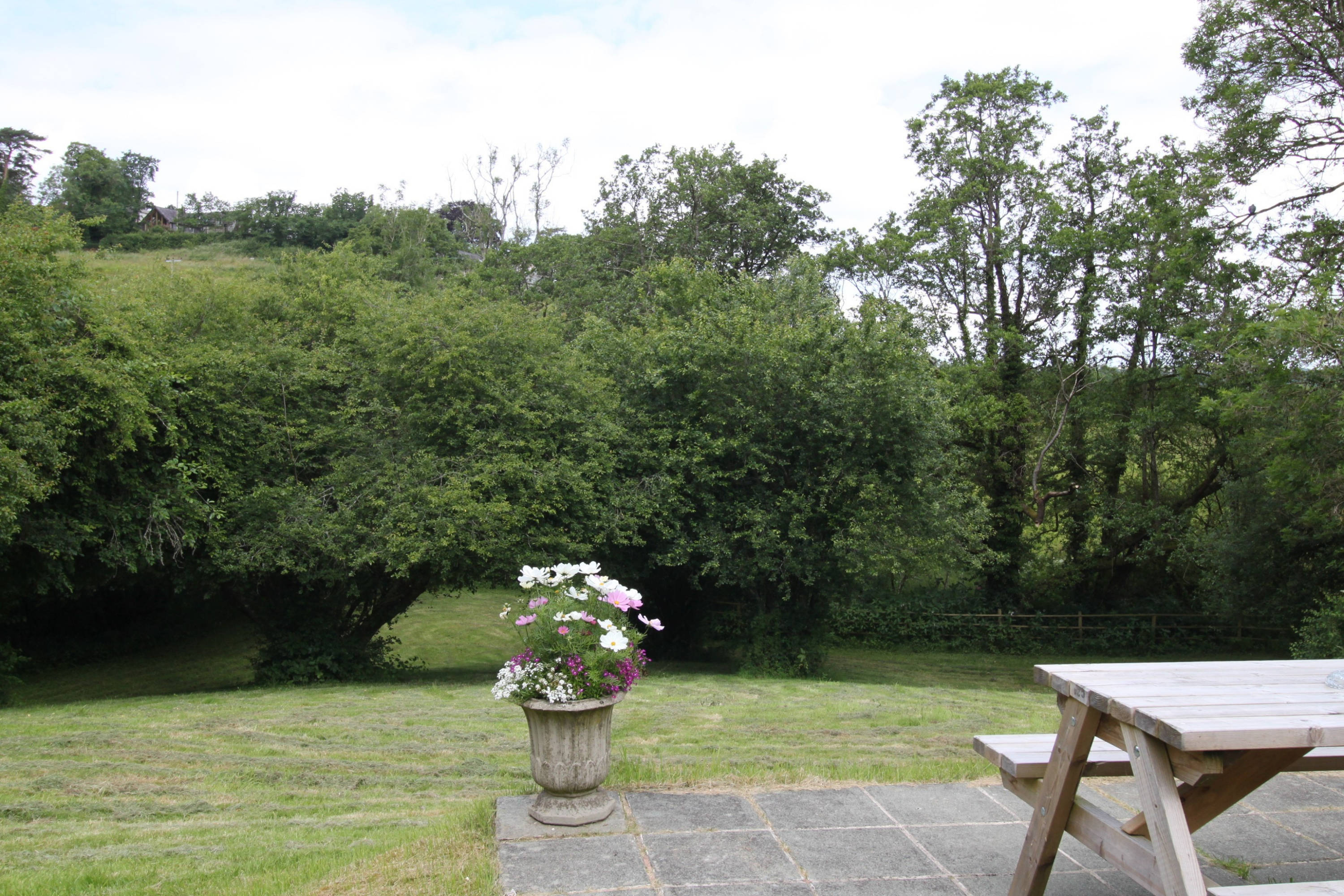 the orchard leads down to the stream